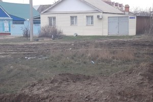 В Астрахани собаки напали на женщину с коляской
