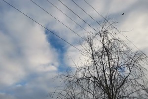 16 января в Астрахани ожидается плюсовая температура и усиление ветра