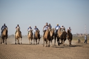 Верблюжьи бега и новый нефтетанкер: Астраханская область за выходные