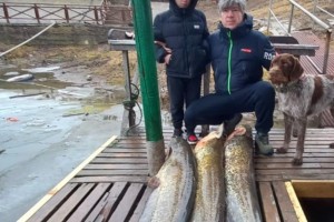 Туристы рассказали о трофейной добыче на подводной охоте в Астраханской области