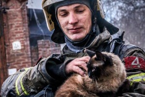 Из горевшего старинного дома в Астрахани вынесли кота