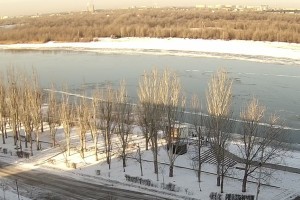 Администрация Астрахани объяснила, зачем спилили деревья на Городском острове