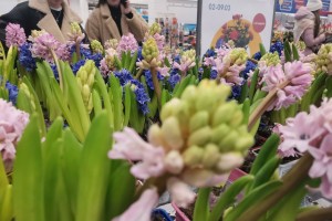 Сколько стоят цветы в Астрахани накануне 8 марта