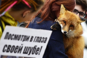 В Астрахани защитники животных выйдут на митинг
