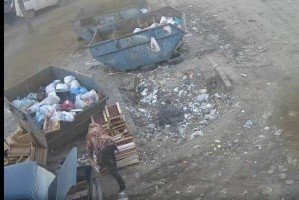 Астраханец заплатит большой штраф за сброс мусора в&#160;неположенном месте
