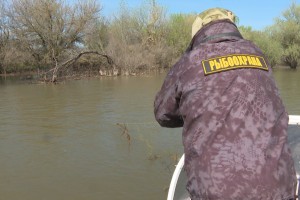Астраханские инспекторы рыбоохраны попались на взятке