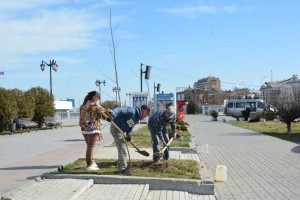 В Астрахани разобьют розарии в&#160;рамках акции &#171;Сад памяти&#187;