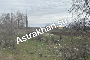 Село Бирюковка в&#160;Астраханской области превратилось в&#160;настоящий мусорный полигон