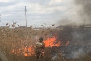 В Астрахани снова горит сухой&#160;камыш