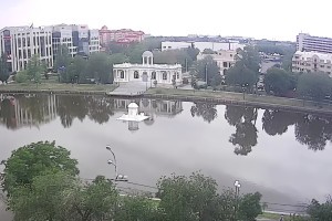 Администрация объяснила, почему на озере в&#160;центре Астрахани остался один лебедь