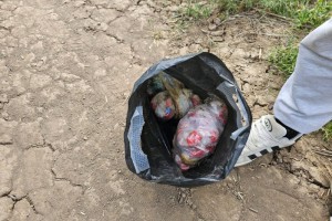 В Астрахани задержали волгоградских наркодилеров