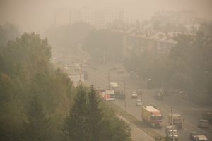 &quot;Гринпис России&quot;: причина запаха гари и сильного задымления в Астрахани -  пожары в дельте Волги
