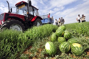 Астраханская область присоединится к всероссийскому проекту «Школа фермера»