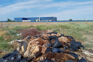 В Астрахани нашли горы биологических отходов
