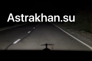 Трассу в Астраханской области заполонили лягушки