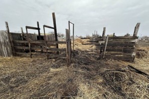 В Астраханской области сын, чтобы отомстить матери, решился на преступление