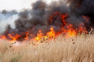 Под Астраханью целый день тушили пожар в&#160;здании бывшей школы