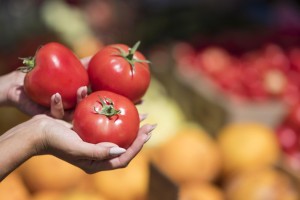 «Известия»: урожай помидоров на юге России может сократиться из-за жары