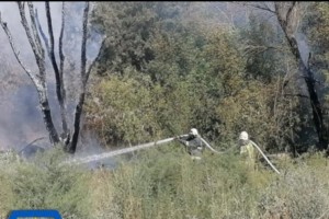 В Астраханской области снова горит сухостой