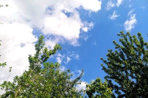 21 июля в Астрахани прогнозируют переменную облачность