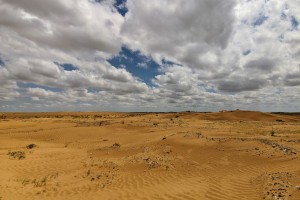 Как в Астраханской области идет борьба с опустыниванием
