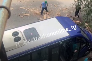 В Астрахани дерево упало на новый синий микроавтобус