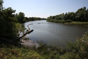 В Астраханской области расчищают русла реки Ахтубы