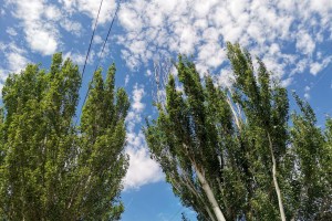 Понедельник в Астрахани будет жарким