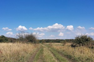 Последняя пятница лета в&#160;Астрахани будет теплой и&#160;ветреной