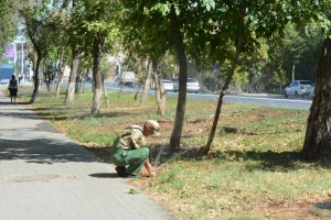 В Астрахани приводят в порядок поливочную систему в парках и скверах