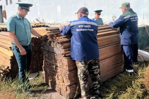 Астраханские таможенники передали на нужды СВО лес