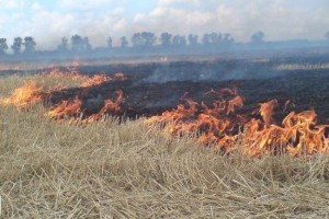 На границе Астраханской области и Казахстана тушат крупный пожар