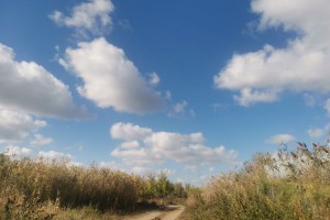 2 ноября астраханцев ждет теплый и ветреный день