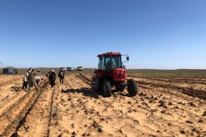 В Астраханской области сажают растения для закрепления почвы