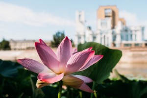 В Астрахани с&#160;1 января приезжие будут платить туристический налог