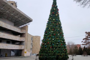 Стало известно, когда в Астрахани установят главную городскую елку