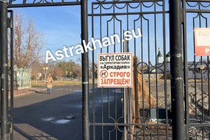 Астраханцам рассказали, где можно выгуливать собак