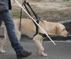 Слепого астраханца из-за собаки-поводыря выселили из общежития