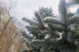 Астраханцев этой ночью снова ждет мокрый снег