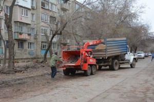 Более 3&#160;тысяч деревьев обрезали и&#160;спилили в&#160;Астрахани за&#160;год