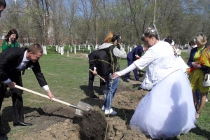 Астраханские пары, сыгравшие свадьбу в этом году, приглашаются на посадку именных деревьев