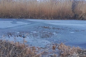 В Астрахани супруги не дали утонуть двум&#160;детям