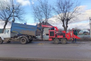 В Астрахани приводят в&#160;порядок деревья