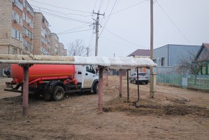 В Астраханской области зоозащитники организовали «собачий городок»