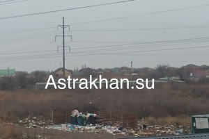 В астраханском садовом товариществе продолжается мусорный коллапс