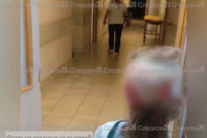 Бездомные собаки на Ставрополье покусали 8‑летнюю девочку