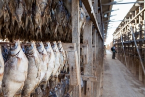 Помощник президента РФ Игорь Левитин высоко оценил организацию продажи рыбы в Астрахани