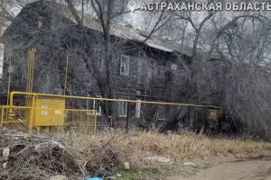 Аварийный дом в Астрахани оккупировали собаки