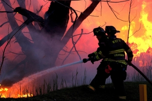 Астраханцы могут записаться на курсы добровольных лесных пожарных