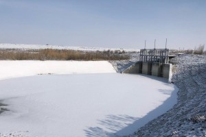 В Астраханской области начали обследовать западные подстепные ильмени